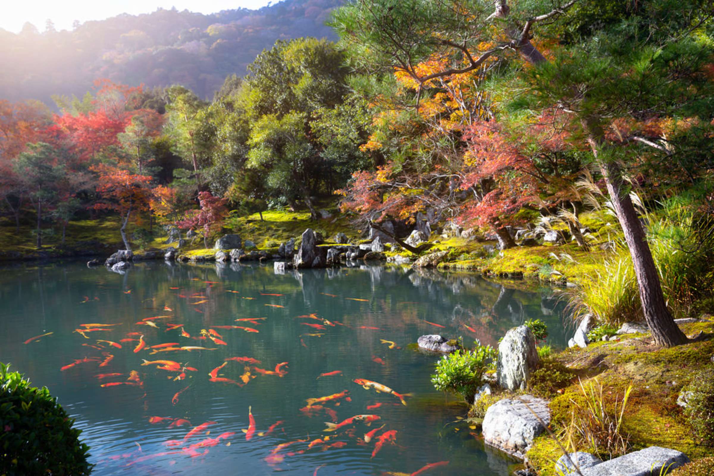 Things To See And Do In Kyoto things-to-see-and-do-in-kyoto